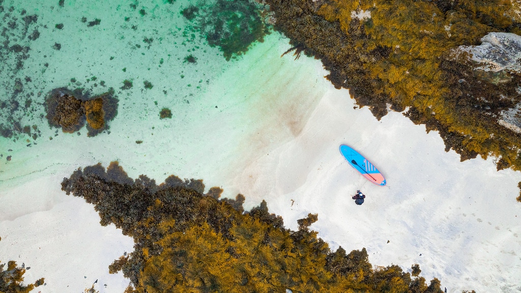 stand up paddle