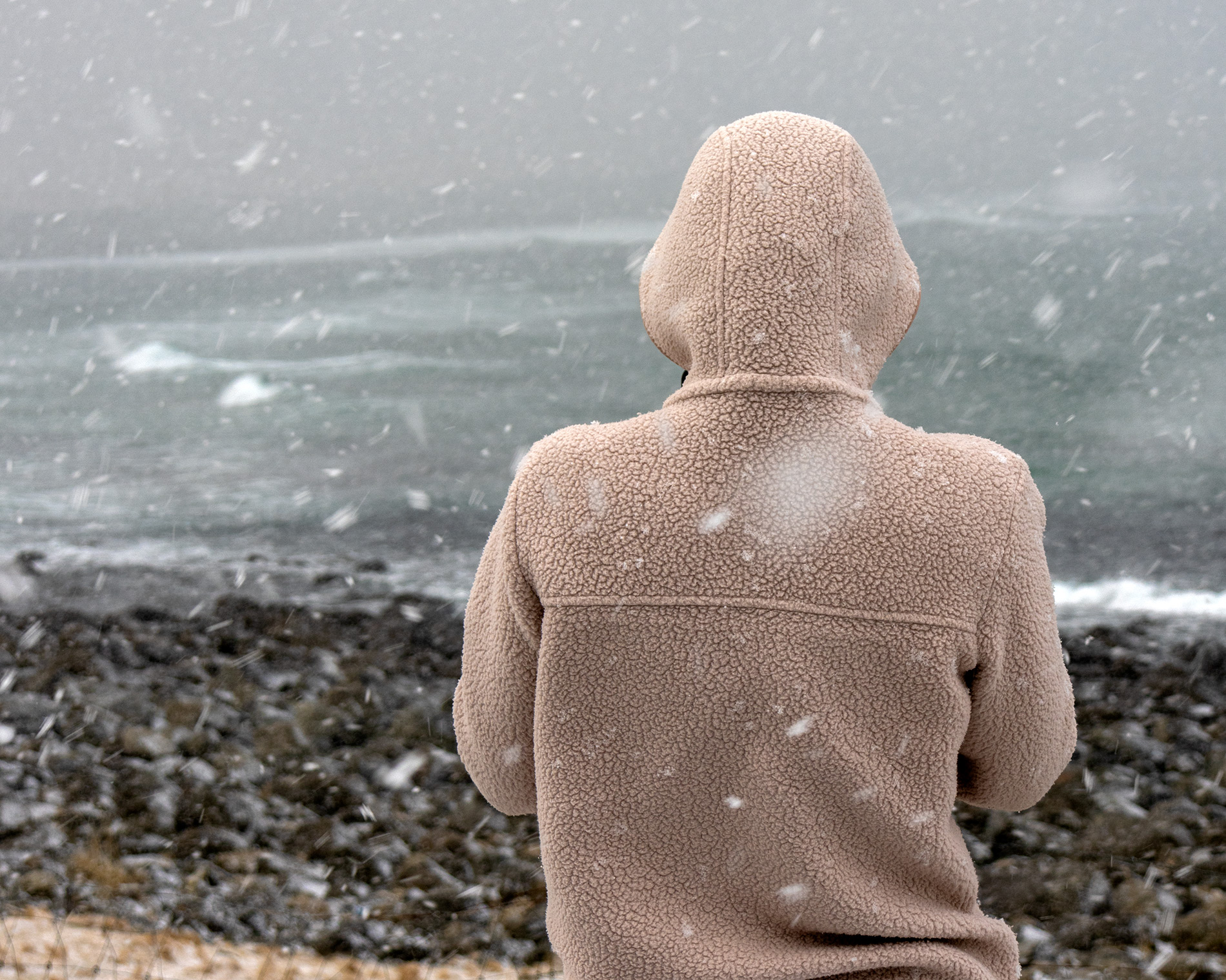 watching the sea in snow